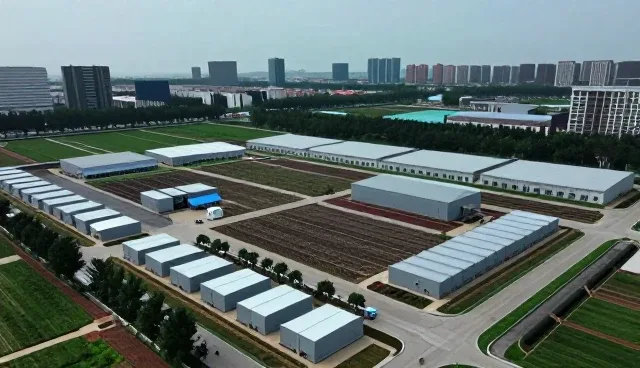 床垫尺寸设计如何影响用户体验与市场竞争力